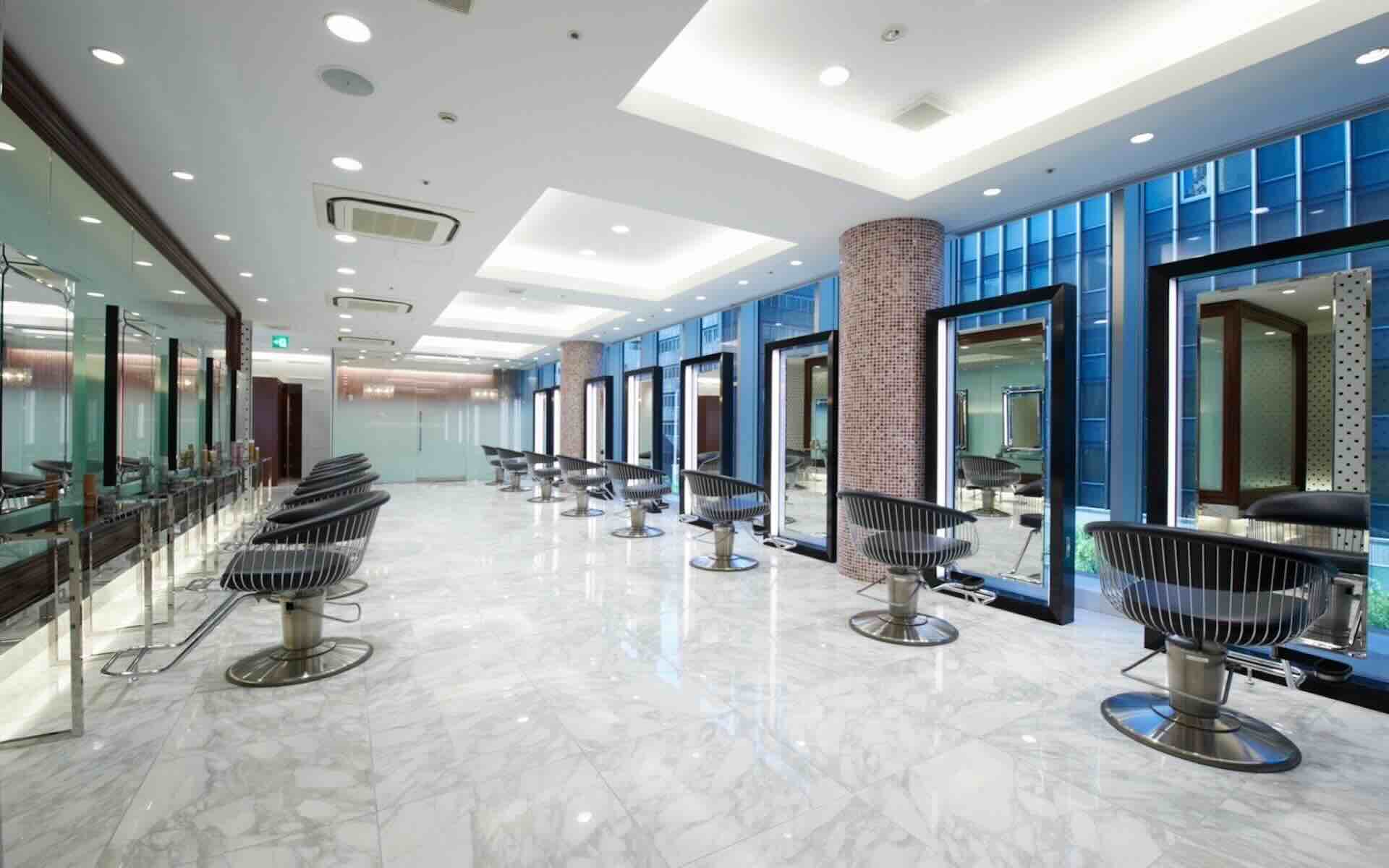 temp_apish-ginza_salon